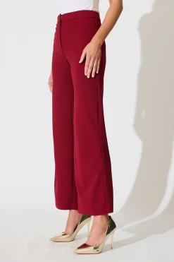 Online Executive Edge Pant in Wine Bottoms|Pants