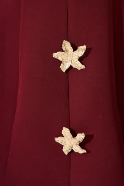 Best Fleur Amour Dress in Wine Dresses|Party